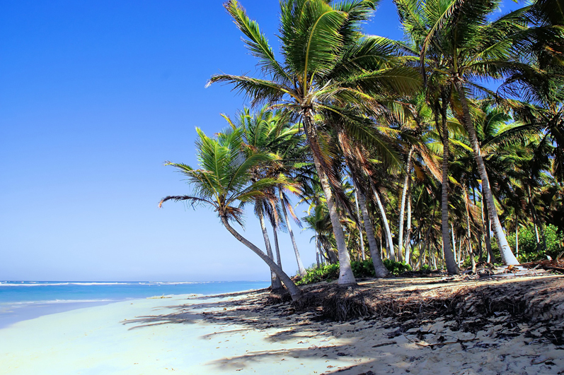 Vacaciones Confirmadas Punta Cana 09 al 14 Marzo 2022