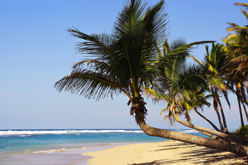 Vacaciones Confirmadas Punta Cana 27 Abr al 01 May 2024