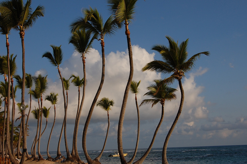 Vacaciones Confirmadas Punta Cana 23 al 28 Marzo 2022